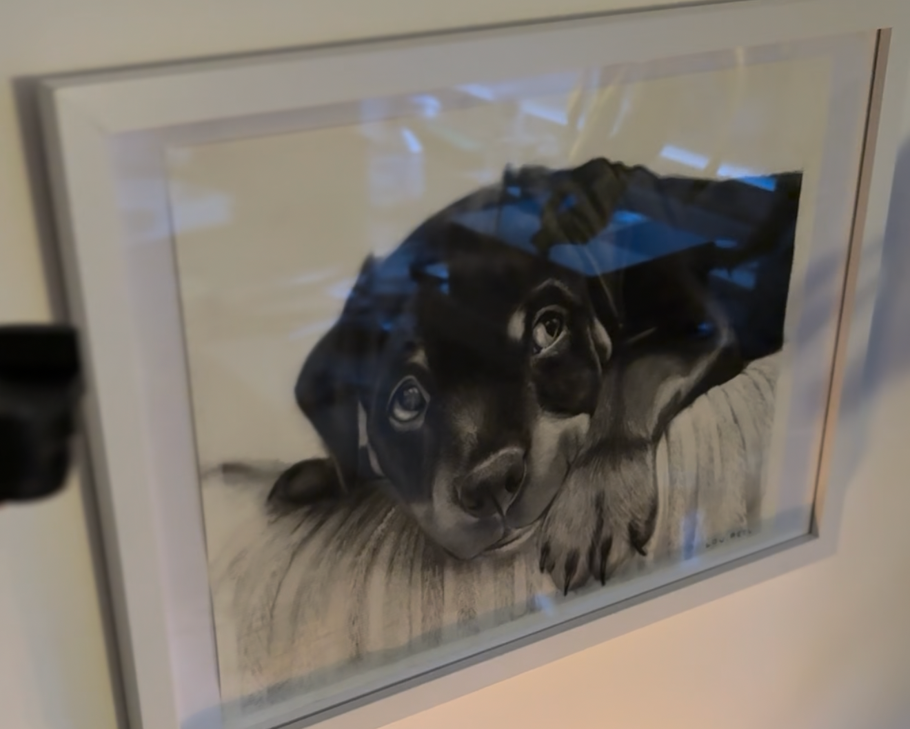 Hand-Drawn Custom Pet Portrait - Commission Slot