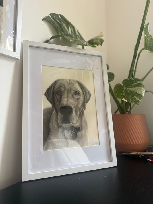 Hand-Drawn Custom Pet Portrait - Commission Slot